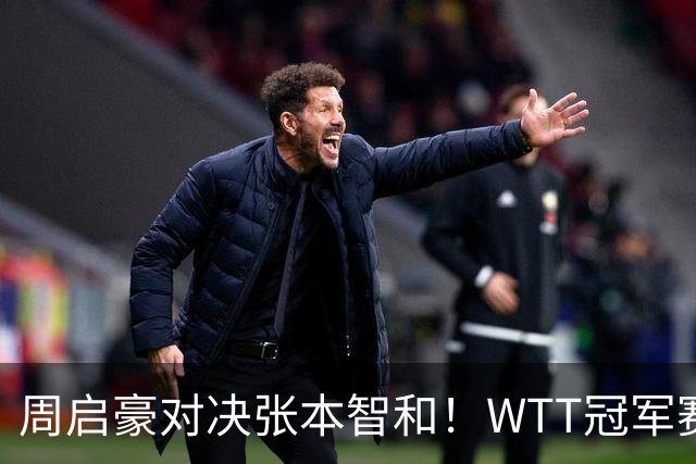 周启豪对决张本智和！WTT冠军赛：9月12日赛程公布，1/4决赛到来